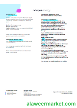 Octopus Energy utility business bill SCR page 3